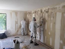 Best Real Estate Mold Inspection  in Minonk, IL